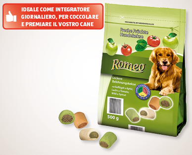 Golosi biscotti alla frutta per cani ROMEO