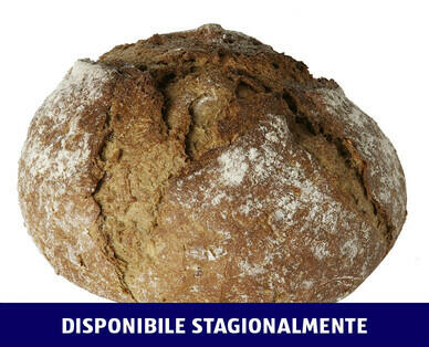 PANETTERIA 
 PANE TRADIZIONALE DEI CAMPI