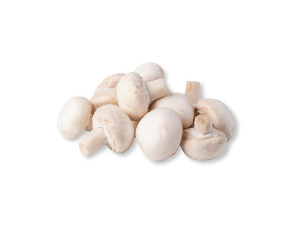 Organic Mushrooms