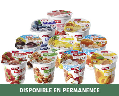 MILFINA 
 YOGOURT AUX FRUITS SUISSE