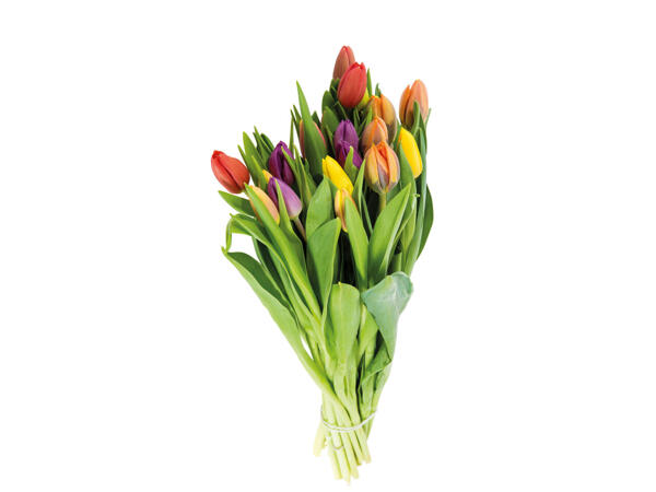 Bouquet de tulipes