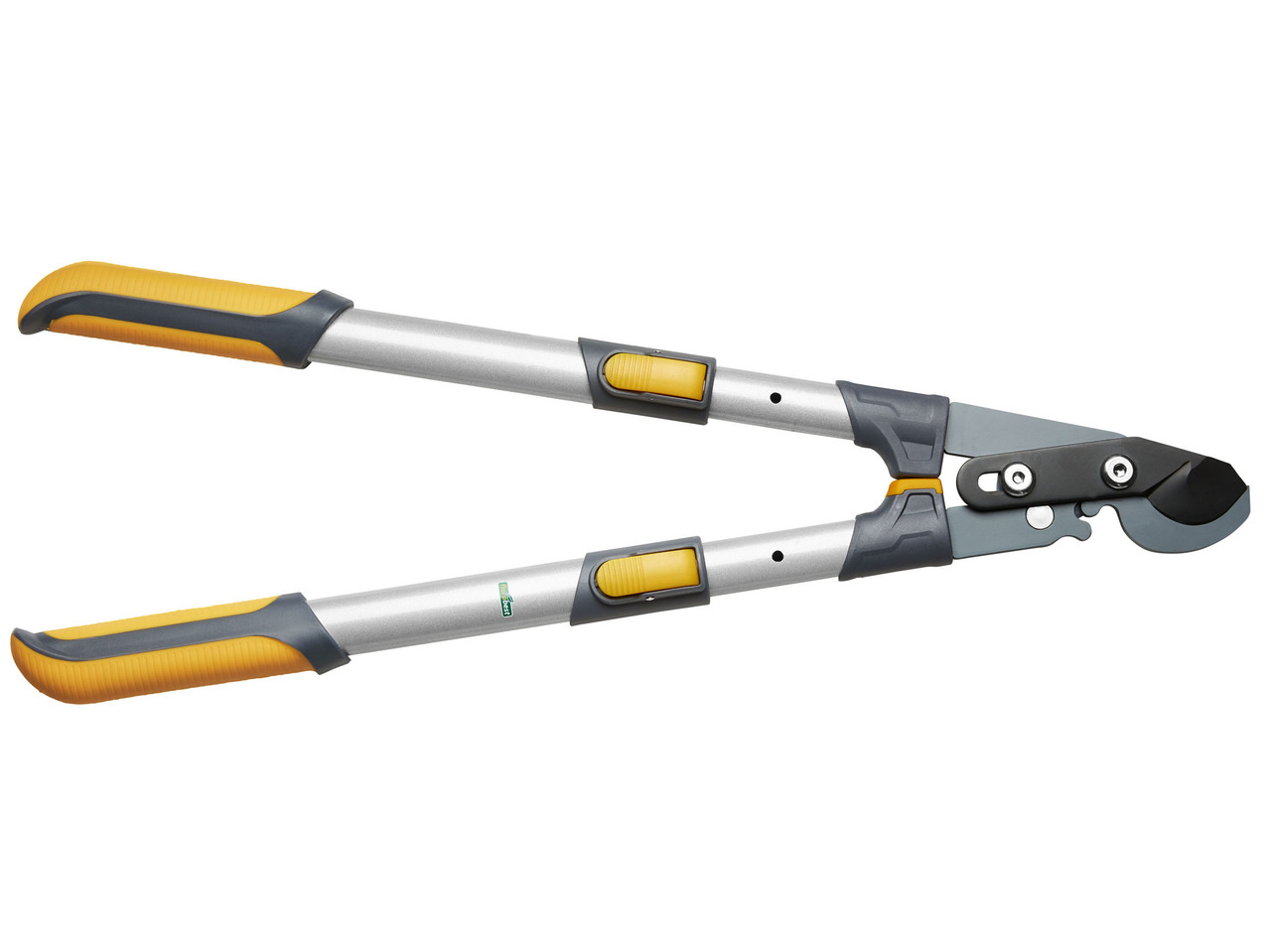 Extendable Loppers