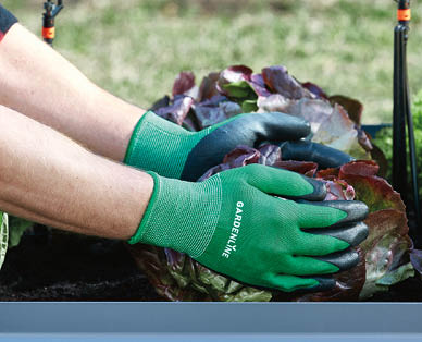 Assorted Garden Gloves