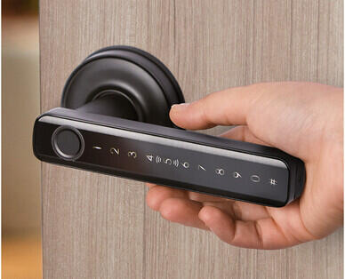 Smart Lock Door Handle