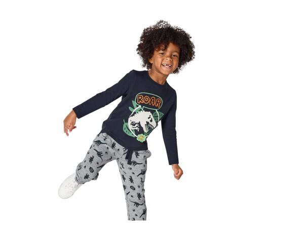 Boys' long-sleeve top "Jurassic World, Paw Patrol"