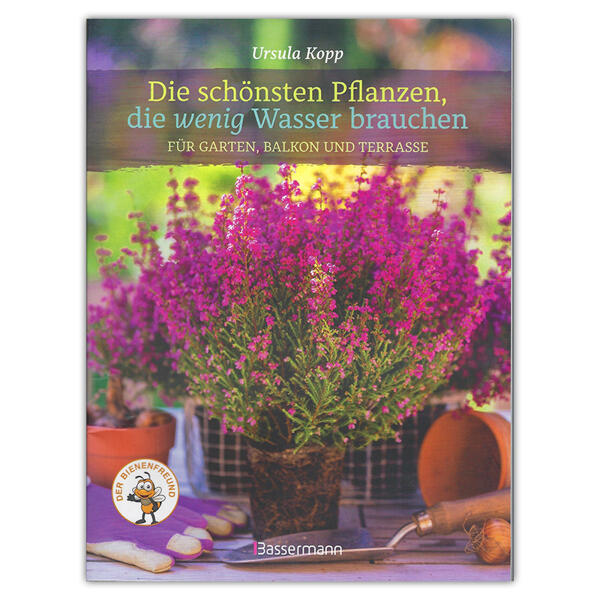 Buch