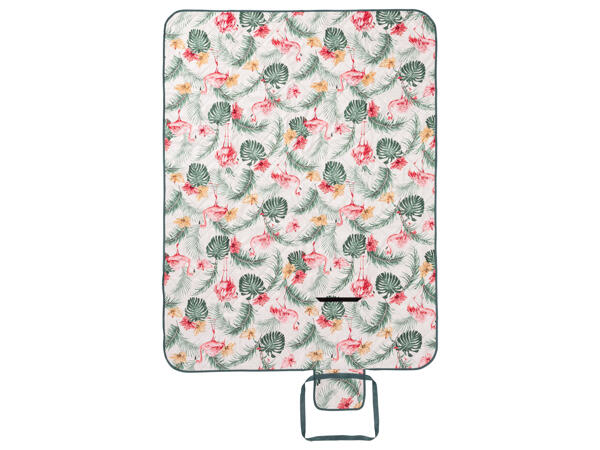 Picnic Blanket