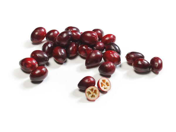 Canneberges