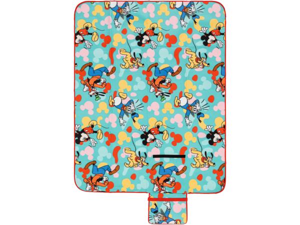 Picnic Blanket