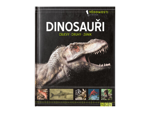 DĚTSKÁ VĚDOMOSTNÍ KNIHA