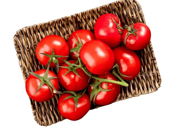 Strauchtomaten aus Österreich