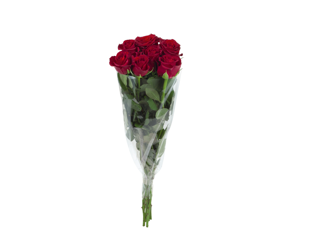 Rozen
