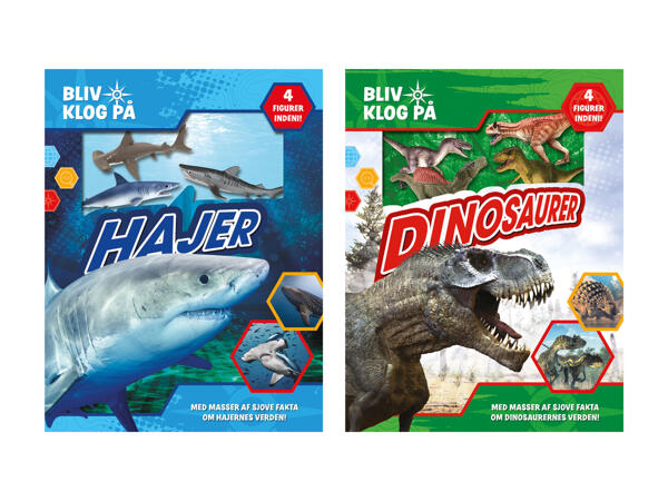 KARRUSEL(R) Bliv klog på