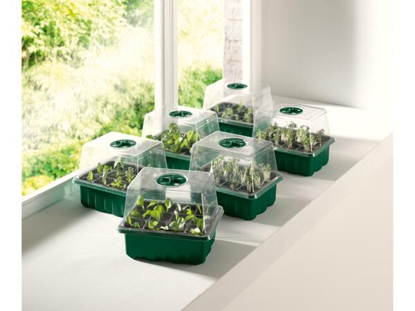 Propagator Assortment