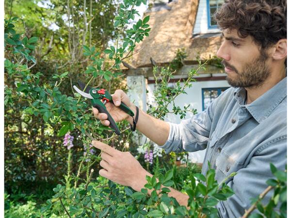 Universal / Bypass / Anvil Secateurs