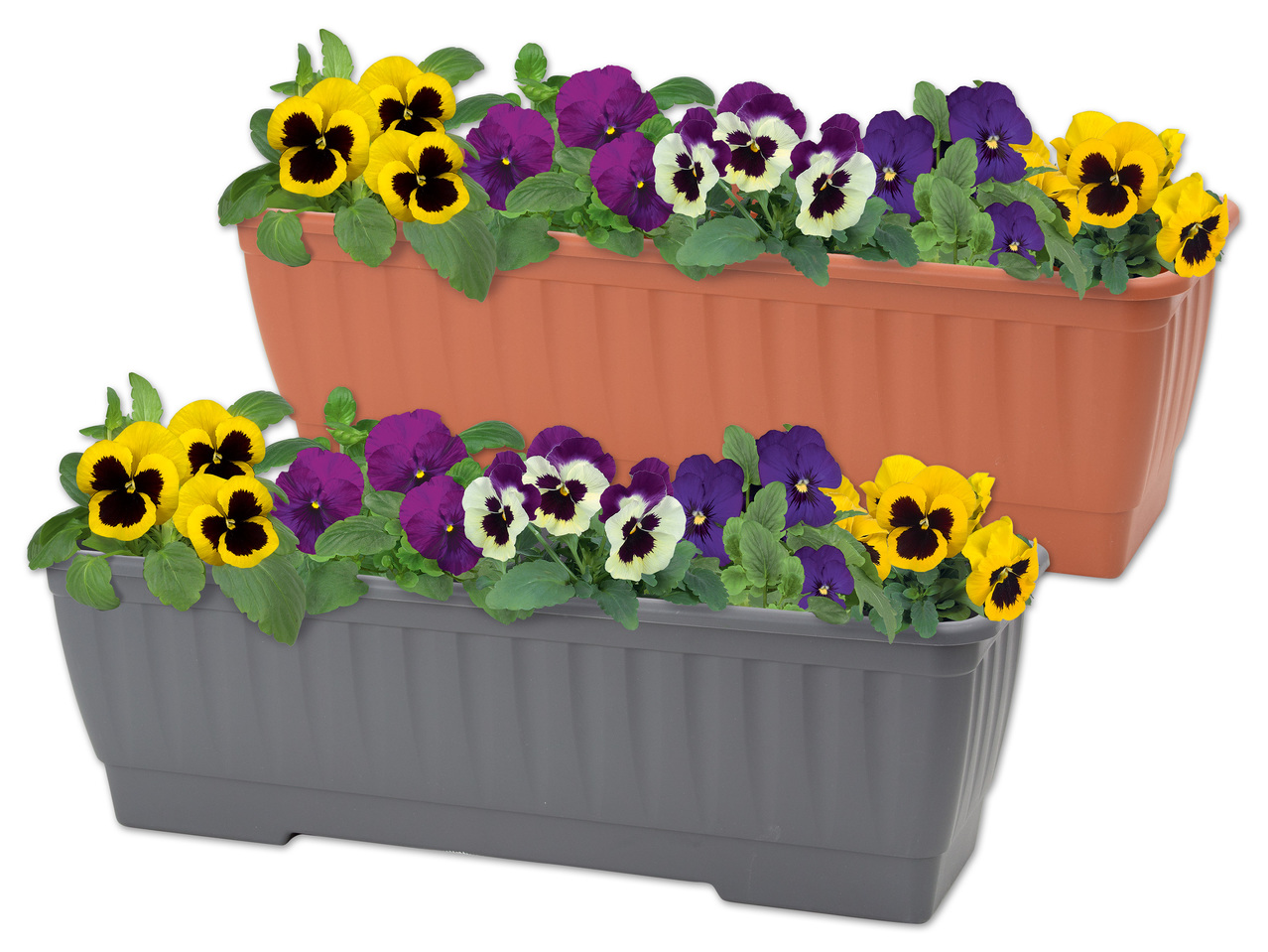 FLORABEST(R) Blumenkasten, ca. 60 x 20 x 19 cm