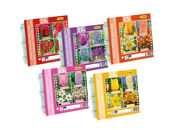 Flowering Bulbs