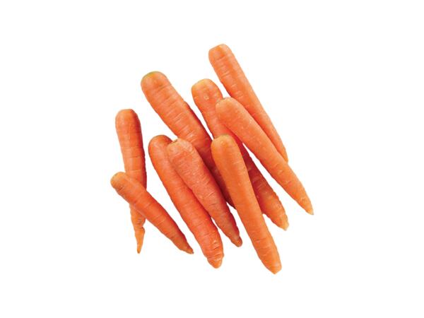 Fucino Carrots PGI
