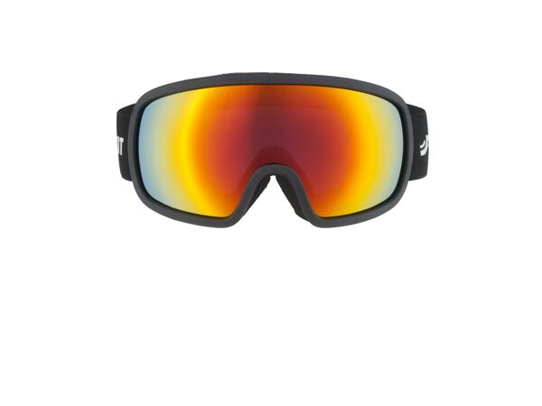 Adult Ski & Snowboarding Goggles