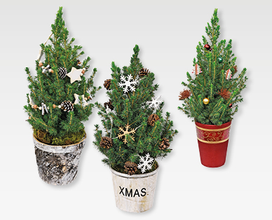 Alberelli di Natale GARDENLINE(R)