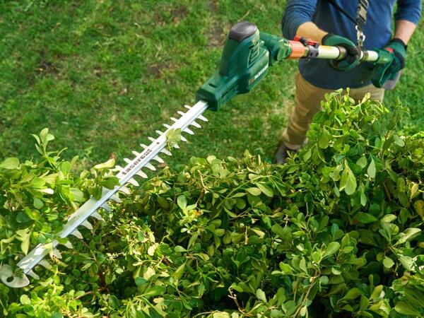 20V Cordless Extendable Hedge Trimmer
