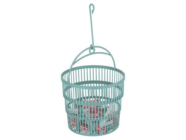 Clothes pegs, washing line or collapsible basket with clothes pegs