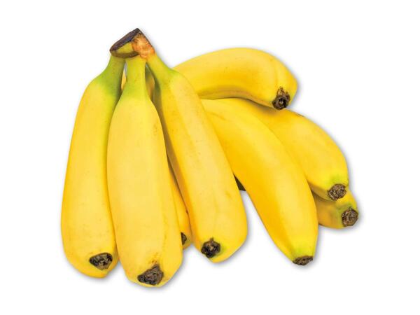 Rainforest banan