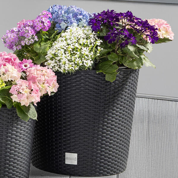 Blumentopf in Rattan-Optik