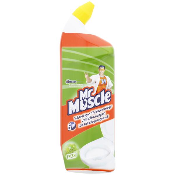 Mr Muscle Toilettenreiniger Fresh