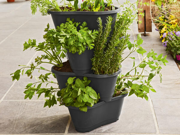 Potato Tower