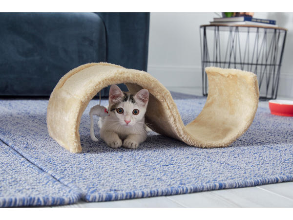 Assorted Cat Scratchers