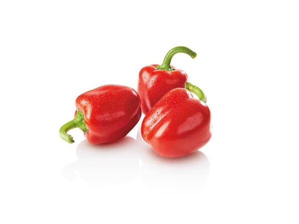 PAPRIKA ČERVENÁ