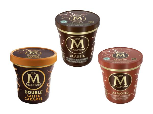 Pot de glace Lusso Magnum