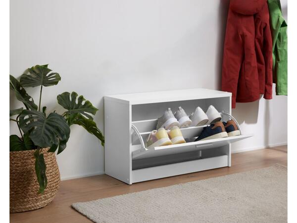 Shoe storage cabinet