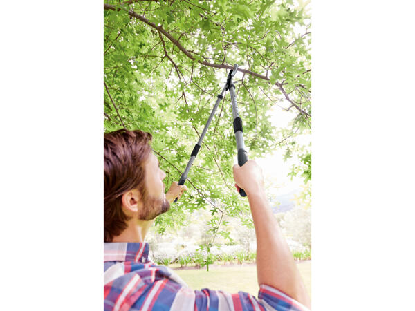 Extendable Loppers