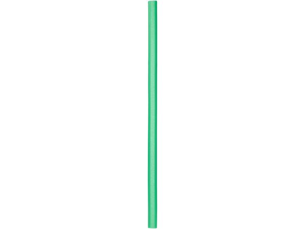 Pool Noodle