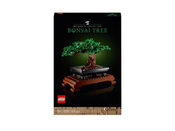 10281 Bonsaj