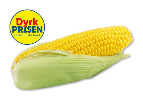 Dansk majs