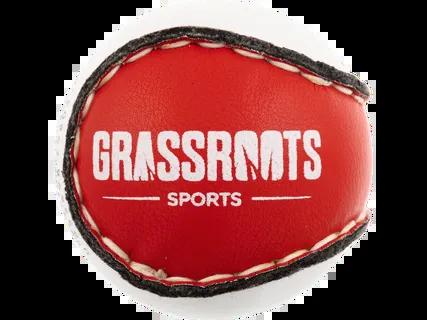 Training Sliotar