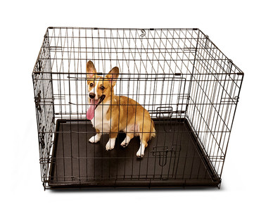 Heart to Tail Wire Kennel with Divider
