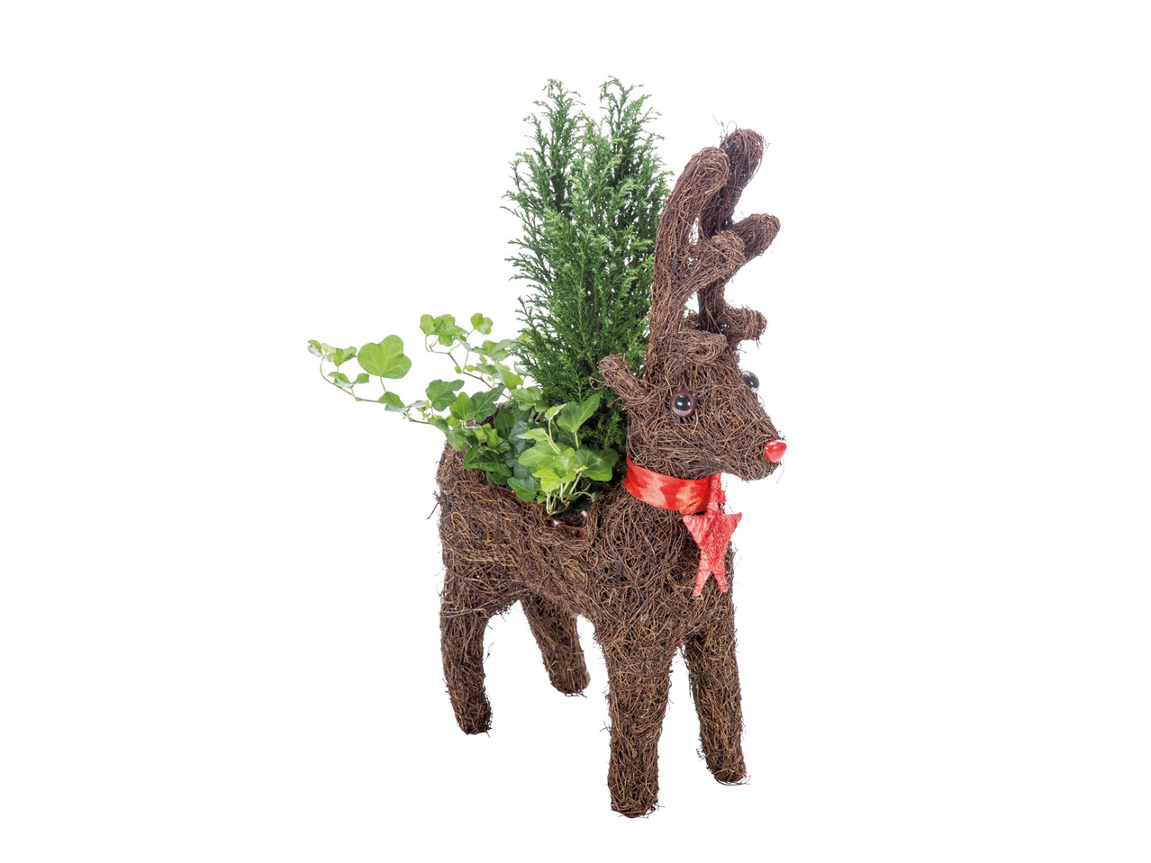 Christmas Reindeer1