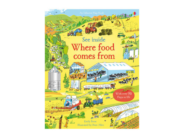 Usborne See Inside Children's Book