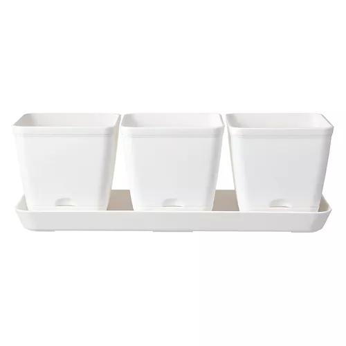Self Watering Herb Planter, White