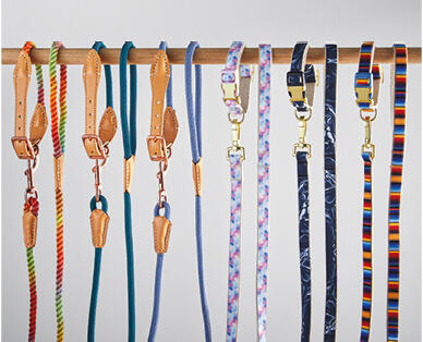 Dog Collar and Lead Set