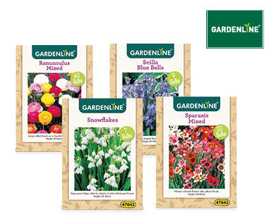 Assorted Packet Bulbs
