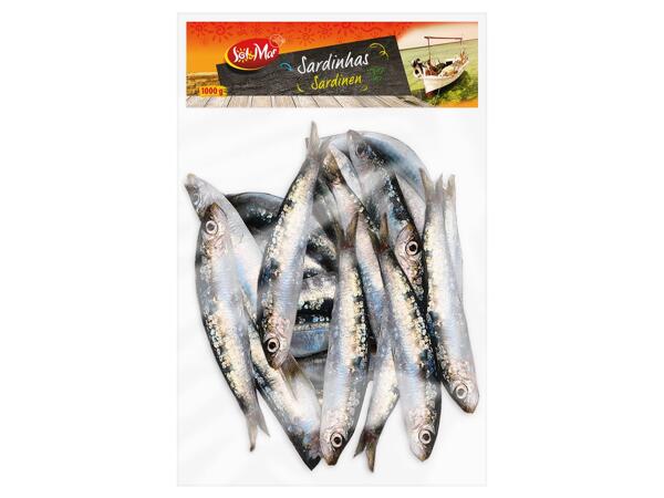 Sardinen