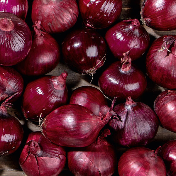 Rote Zwiebeln