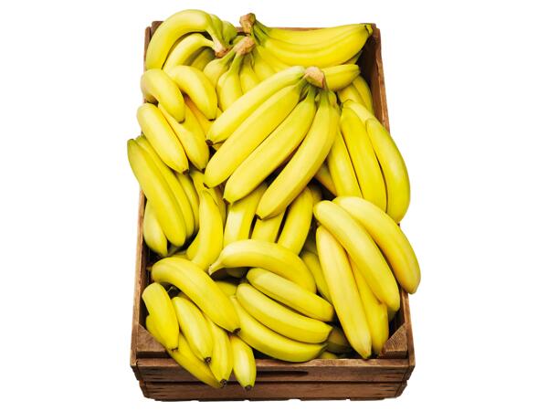 Ekologiska Fairtrade bananer