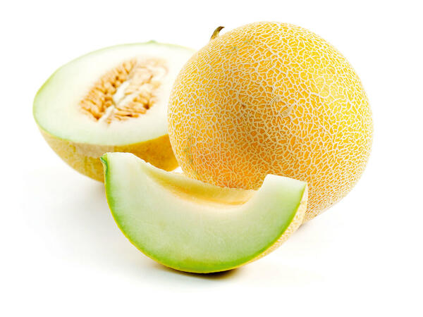 Melon Galia