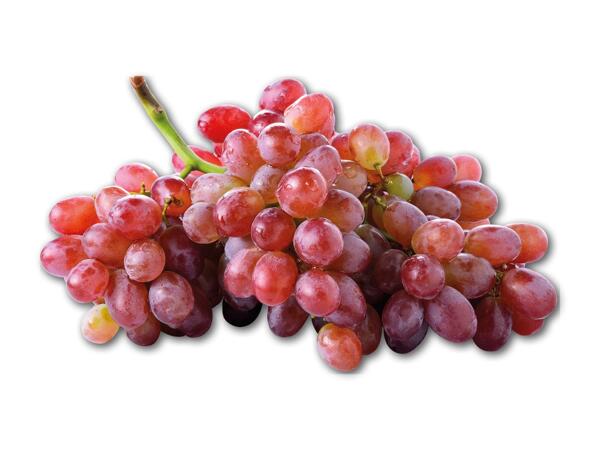 Daddelcherrytomater eller røde stenfri vindruer